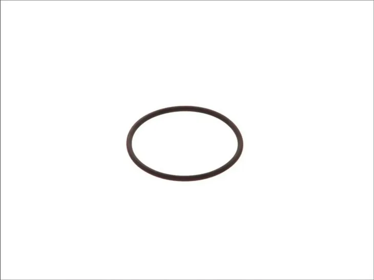 oring-wtryskiwacza-daf-xf95105mb-actro-waga-z-opakowaniem-5-kg