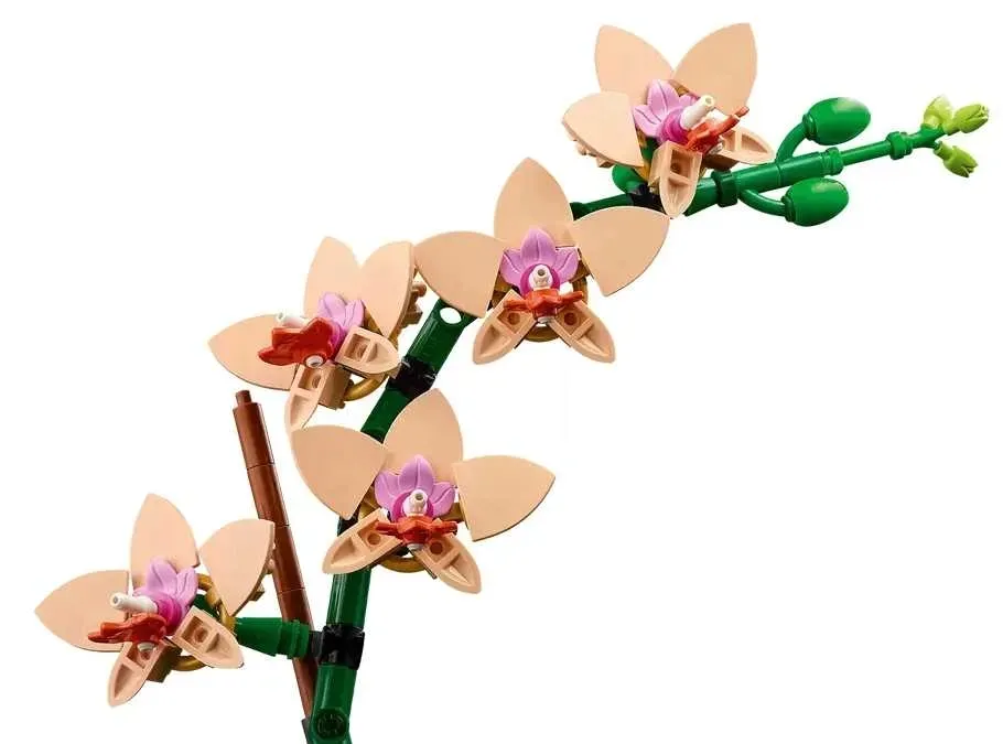 lego-the-botanical-collection-mala-orchidea-stan-nowy