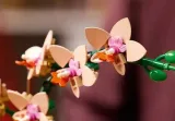 lego-the-botanical-collection-mala-orchidea-informacje-dot-bezpieczenstwa-i-zgodnosci-produktu-nie-nadaje-sie-dla-dzieci-w-wieku-ponizej-36-miesiecy
