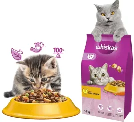 whiskas-sucha-karma-dla-kociat-z-kurczakiem-14kg