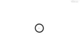 oring-wtryskiwacza-man-d2066-209x3