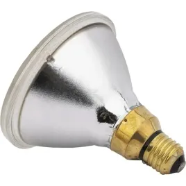 promiennik-par-bialy-100w-22242ker