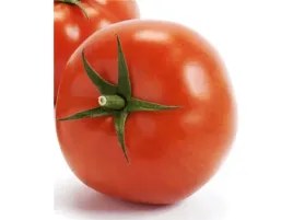 pomidor-szczepiony-maxi-red-mathias-duze-miesiste-owoce-sadzonka-p9