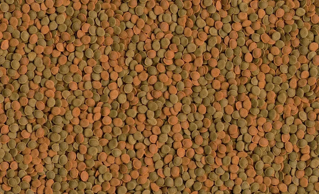tetra-wafer-mix-100ml-tetra