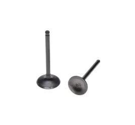 zawory-glowicy-pitbike-mrf-yx-140-cross-2-szt-dirtbike-apollo-zawor