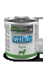 farmina-vet-life-canine-renal-300g-farmina