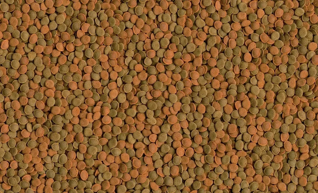 tetra-wafer-mix-100ml-tetra