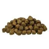 bosch-mini-senior-1kg-bosch-marka-bosch