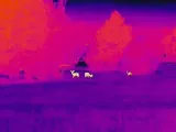 monokular-termowizyjny-hikmicro-lynx-lc06s-marka-hikvision