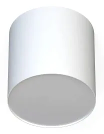 nowodvorski-lampa-oprawa-sufitowa-point-plexi-white-m-1xgu10-10w-ip20-6525