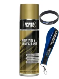 forte-air-intake-and-valve-cleaner-czysci-pierscienie-nagar-uklad-dolotowy