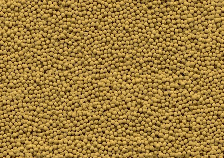 tetra-pond-pellets-1l-tetra-typ-brak-informacji