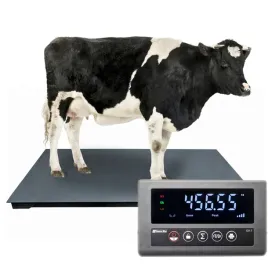 waga-inwentarzowa-12x22m-do-5-ton-do-bydla-do-swin-do-krow-do-zwierzat