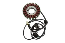 electrosport-2025-02-uzwojenie-alternatora-stator-triumph-tiger-800