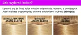 loreal-casting-farba-1010-lodowy-blond-stan-nowy-kolor-farby-blondy