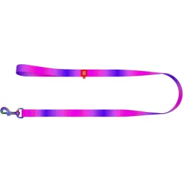 2-x-smycz-waudog-nylonowa-gradient-15mm-fioletowa-dla-malego-psa-122cm