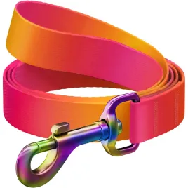 smycz-waudog-nylonowa-gradient-122cm-do-malych-psow-pomaranczowa