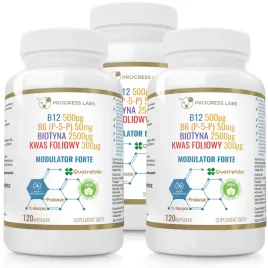 b12-b6-biotyna-kwas-foliowy-modulator-forte-360kap