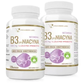 niacyna-500mg-witamina-b3-pp-240-kapsulek-wegan
