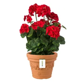 doniczka-okragla-tradycyjna-terakota-duza-o45cm