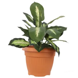 donica-klasyczna-okragla-tradycyjna-terakota-o45cm
