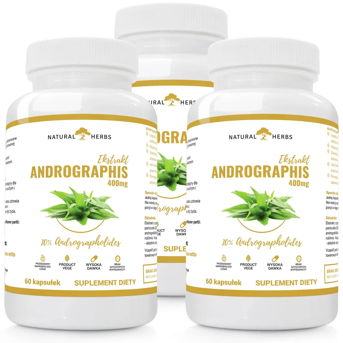 andrographis-extract400mg-borelioza-wege-3x60-kap-postac-kapsulki