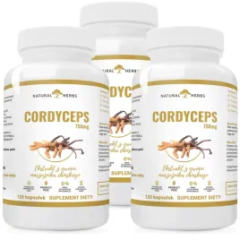 cordyceps-40percent-750mg-mocna-odpornosc-wiecej-energii-dobry-nastroj-360-kaps