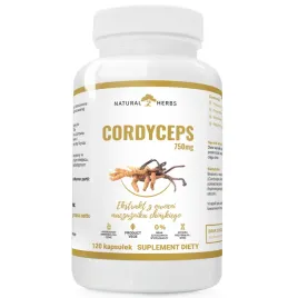 cordyceps-40percent-750mg-mocna-odpornosc-wiecej-energii-dobry-nastroj-120-kaps