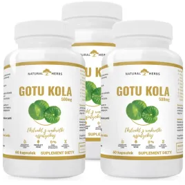 gotu-kola-extract-500mg-wakrotka-azjatycka-3x60kap
