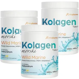 kolagen-rybi-wild-marine-colagen-kwas-hialuronowy-msm-wit-c-proszek-1200g