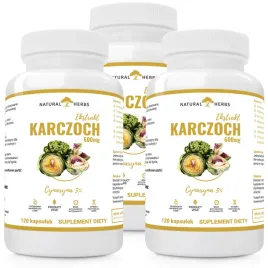 karczoch-ekstrakt-600mg-5percent-cynarin-wege-3x120-kaps