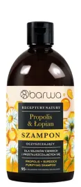 barwa-receptury-natury-szampon-oczyszczajacy-do-wlosow-cienkich-i-przetlusz