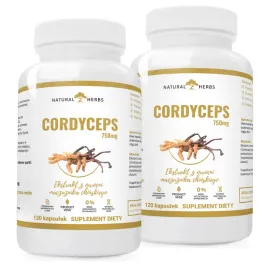 cordyceps-40percent-750-mg-odpornosc-nerki-cisnienie-zmeczenie-kosci-240-kap