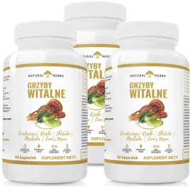 maitake-lions-mane-shiitake-cordyceps-reishi-odpornosc-cholesterol-180-kap