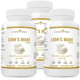 lions-mane-500-mg-soplowka-jezowata-pamiec-koncentracja-odpornosc-180-kap