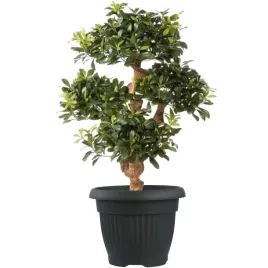 donica-klasyczna-okragla-tradycyjna-antracyt-o55cm