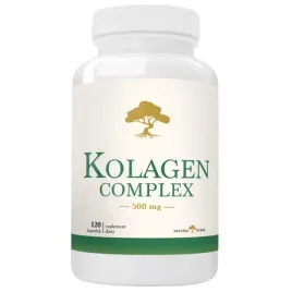 kolagen-complex-500-mg-witamina-c-kwas-hialuronowy-wlosy-skora-120-kap