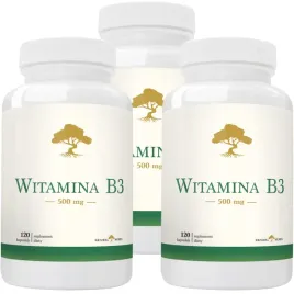 witamina-b3-500-mg-cholesterol-znuzenie-energia-skora-prebiotyk-360-kap