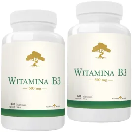 witamina-b3-500-mg-cholesterol-znuzenie-energia-skora-prebiotyk-240-kap