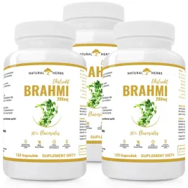 brahmi-bacopa-monnieri-200-mg-ekstrakt-20-1-pamiec-koncentracja-360kaps