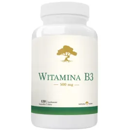witamina-b3-500-mg-cholesterol-znuzenie-energia-skora-prebiotyk-120-kap