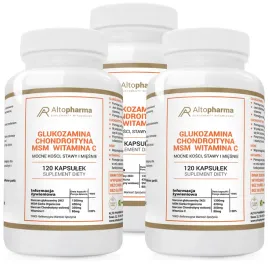 glukozamina-chondroityna-msm-witamina-c-stawy-3x120