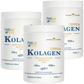 kolagen-3-peptydy-ha-msm-wit-c-do-picia-10-000mg-wlosy-stawy-do-picia-1200g