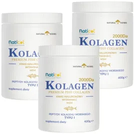 kolagen-naturalny-premium-colagen-wspiera-skore-stawy-ha-msm-wit-c-1200-g