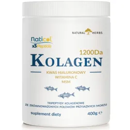 kolagen-3-peptydy-ha-msm-wit-c-do-picia-10-000mg-wlosy-stawy-do-picia-400-g