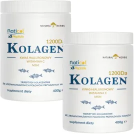 kolagen-3-peptydy-ha-msm-wit-c-do-picia-10-000mg-wlosy-stawy-do-picia-800-g