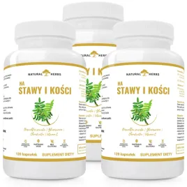 na-stawy-i-kosci-witamina-c-kadzidlowiec-glukozamina-odpornosc-stawy-360k