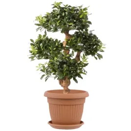 donica-okragla-o50cm-podstawka-komplet-terrakota