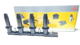 cewka-zaplonowa-ngk-48004