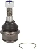 sworzen-wahacza-tc526-delphi-numer-katalogowy-oryginalu-vw-701-407-187-vw-701-407-187a-vw-701-407-187b